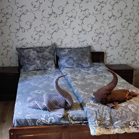 еко Case de vacanță Ţigov Ceark