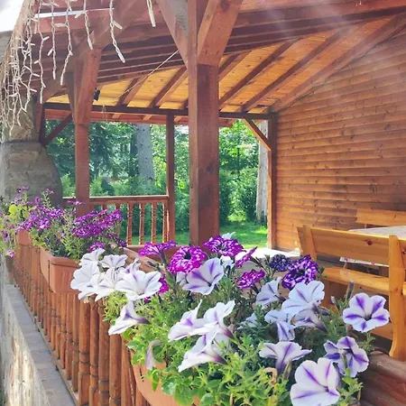 Feriehus еко Tsigov Chark