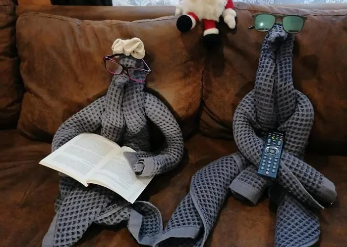 еко * Ţigov Ceark