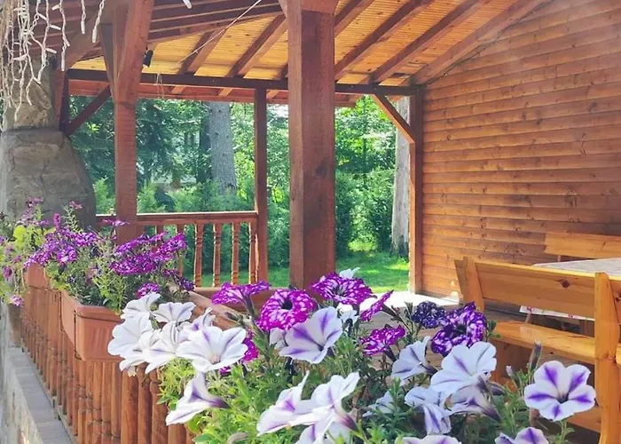 Case de vacanță еко Ţigov Ceark